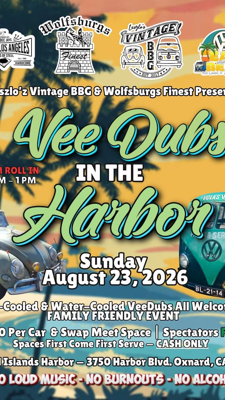 Vee Dubs in the Harbor